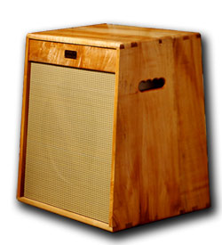 Custom guitar speaker cabinet